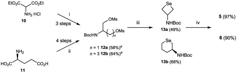 https://cdn.ncbi.nlm.nih.gov/pmc/blobs/44a7/6155421/519685c2676b/molecules-22-00354-sch002.jpg