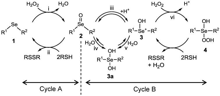 https://cdn.ncbi.nlm.nih.gov/pmc/blobs/44a7/6155421/824d549b9d82/molecules-22-00354-sch001.jpg