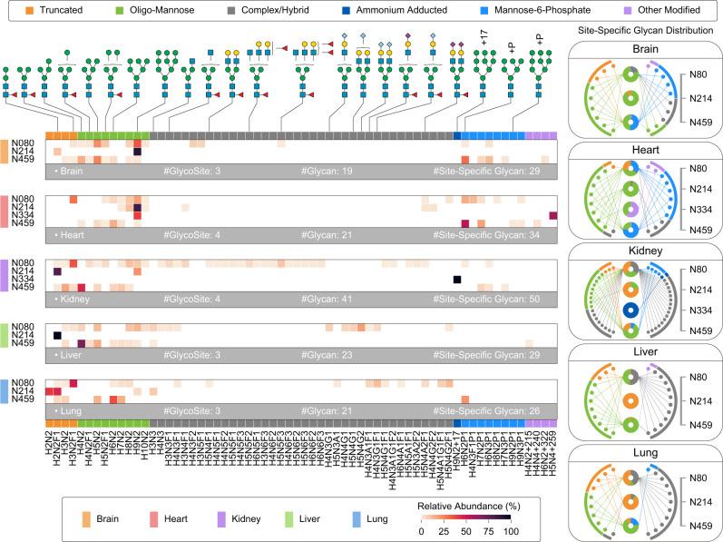 https://cdn.ncbi.nlm.nih.gov/pmc/blobs/44ab/8990002/56af3547182b/41467_2022_29530_Fig5_HTML.jpg
