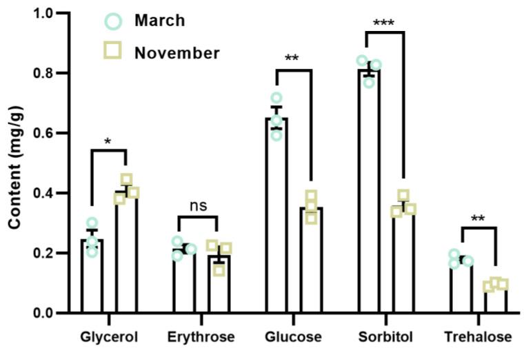 https://cdn.ncbi.nlm.nih.gov/pmc/blobs/44ac/11765982/f1c885f743eb/insects-16-00038-g005.jpg