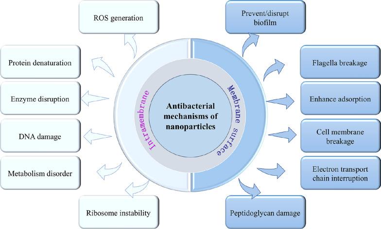 https://cdn.ncbi.nlm.nih.gov/pmc/blobs/44ad/11892188/07c93d1782dd/12951_2025_3249_Fig2_HTML.jpg