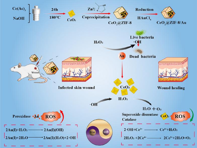 https://cdn.ncbi.nlm.nih.gov/pmc/blobs/44ad/11892188/374f2b59c33e/12951_2025_3249_Fig3_HTML.jpg