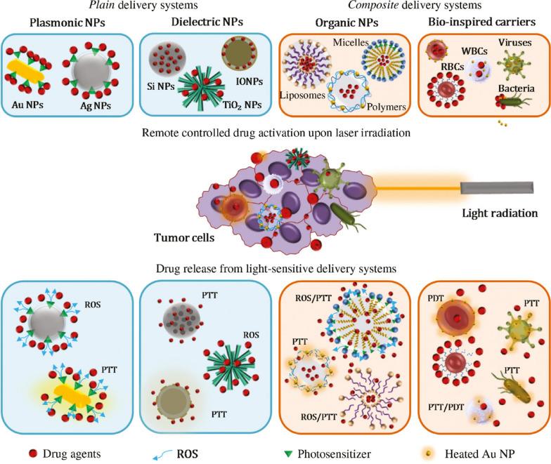 https://cdn.ncbi.nlm.nih.gov/pmc/blobs/44ad/11892188/95caed459309/12951_2025_3249_Fig6_HTML.jpg