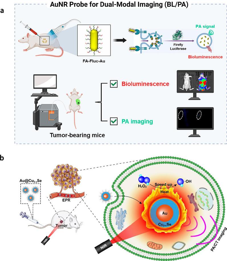 https://cdn.ncbi.nlm.nih.gov/pmc/blobs/44ad/11892188/c2c696386cc8/12951_2025_3249_Fig7_HTML.jpg