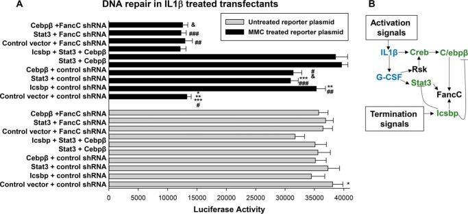 https://cdn.ncbi.nlm.nih.gov/pmc/blobs/44ad/5857980/109fcd89dc4c/zbc0131883740006.jpg