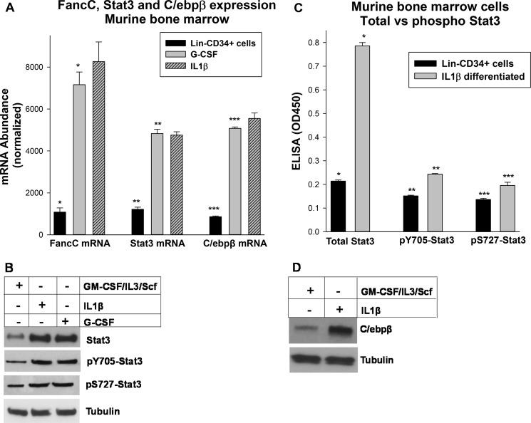 https://cdn.ncbi.nlm.nih.gov/pmc/blobs/44ad/5857980/1ab2a7729127/zbc0131883740003.jpg