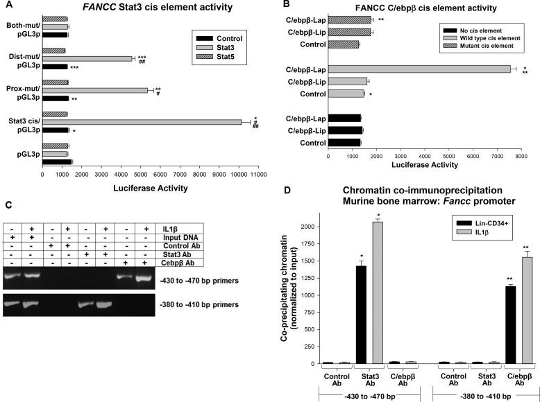 https://cdn.ncbi.nlm.nih.gov/pmc/blobs/44ad/5857980/73bb2cf9b709/zbc0131883740002.jpg