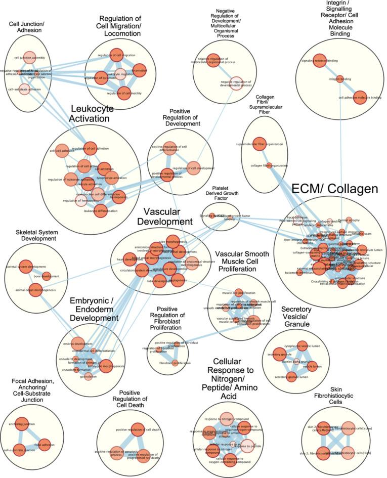 https://cdn.ncbi.nlm.nih.gov/pmc/blobs/44ae/11599917/5e3bd42d6023/41598_2024_76415_Fig6_HTML.jpg