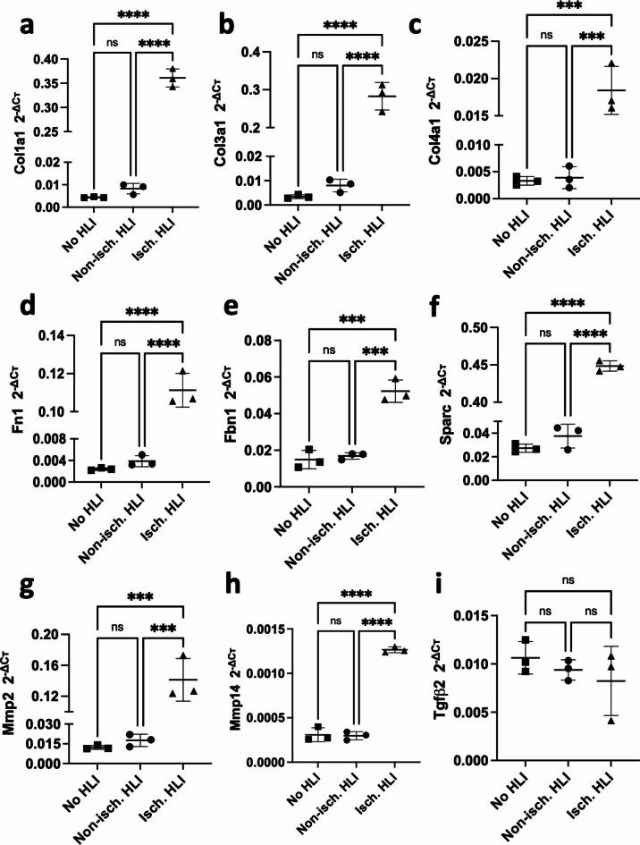 https://cdn.ncbi.nlm.nih.gov/pmc/blobs/44ae/11599917/a55aa6da66b8/41598_2024_76415_Fig7_HTML.jpg