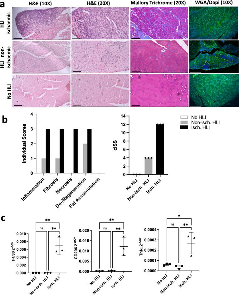 https://cdn.ncbi.nlm.nih.gov/pmc/blobs/44ae/11599917/a55f28d9590c/41598_2024_76415_Fig3_HTML.jpg