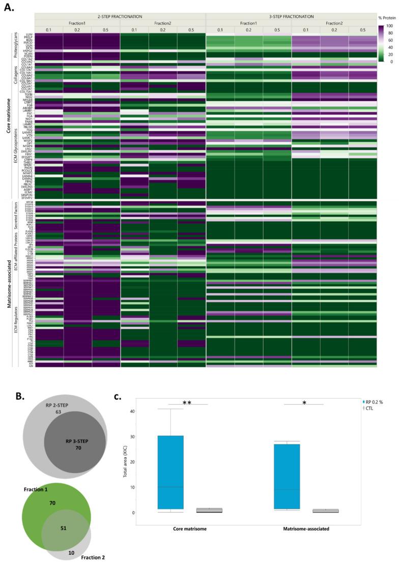 https://cdn.ncbi.nlm.nih.gov/pmc/blobs/44ae/7730167/901de11f54b3/ijms-21-09141-g006.jpg