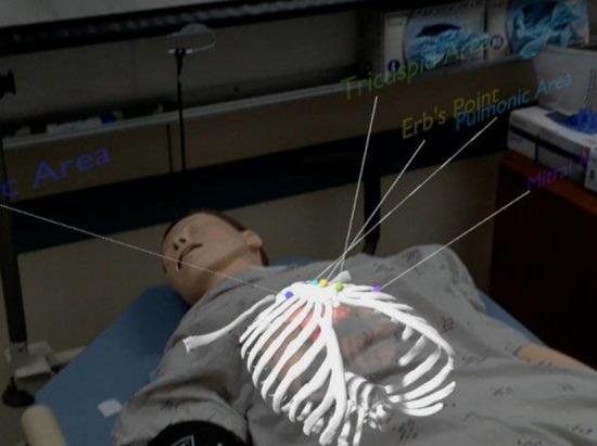 https://cdn.ncbi.nlm.nih.gov/pmc/blobs/44af/10391968/c00ff1104d6d/12938_2023_1138_Fig5_HTML.jpg