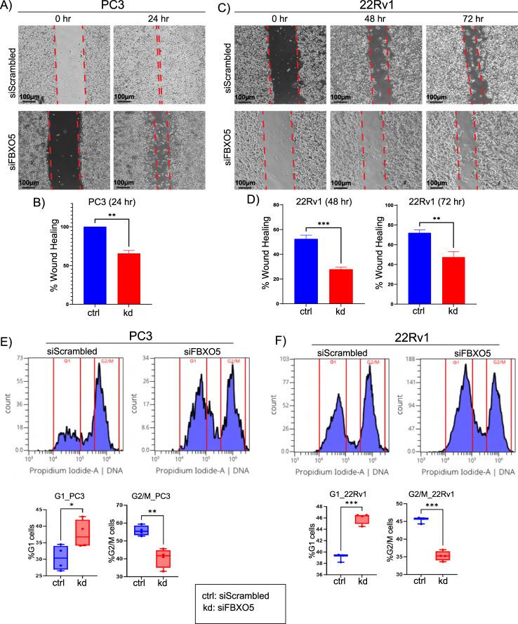 https://cdn.ncbi.nlm.nih.gov/pmc/blobs/44b0/12331571/620d1f94cf05/12672_2025_3069_Fig6_HTML.jpg