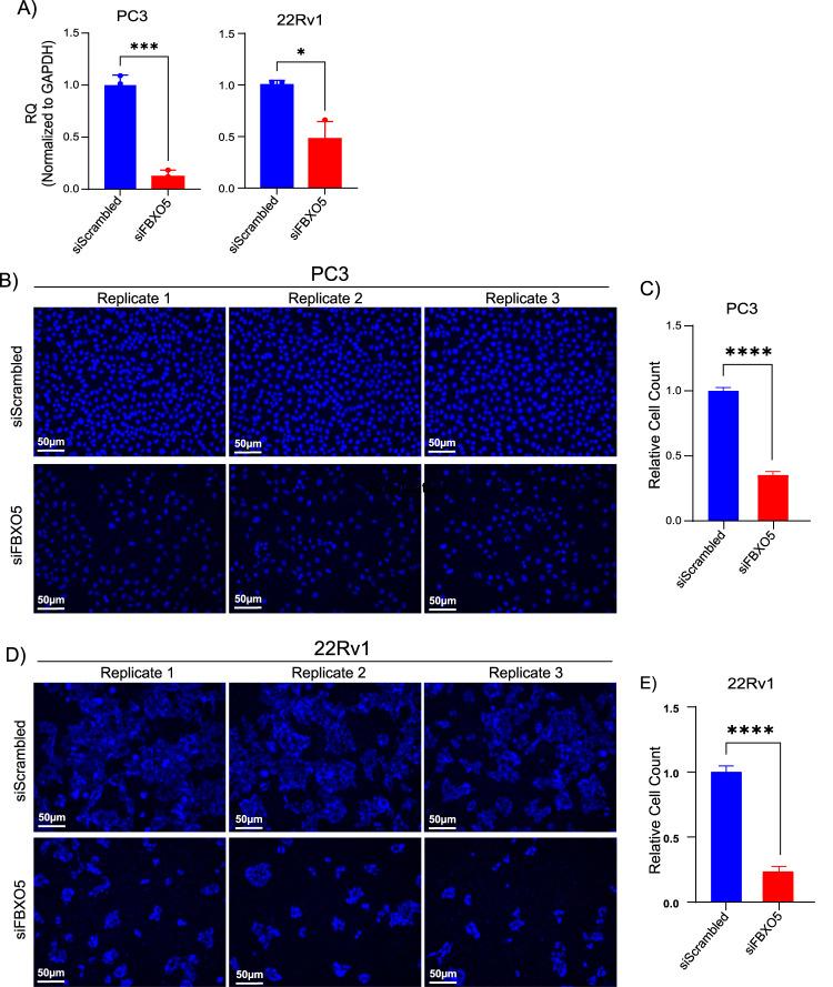 https://cdn.ncbi.nlm.nih.gov/pmc/blobs/44b0/12331571/905d31f7e164/12672_2025_3069_Fig5_HTML.jpg