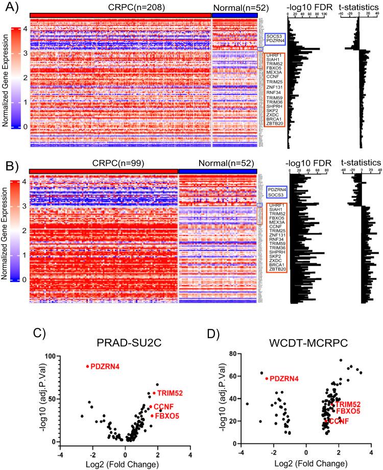 https://cdn.ncbi.nlm.nih.gov/pmc/blobs/44b0/12331571/cb43fc821500/12672_2025_3069_Fig2_HTML.jpg