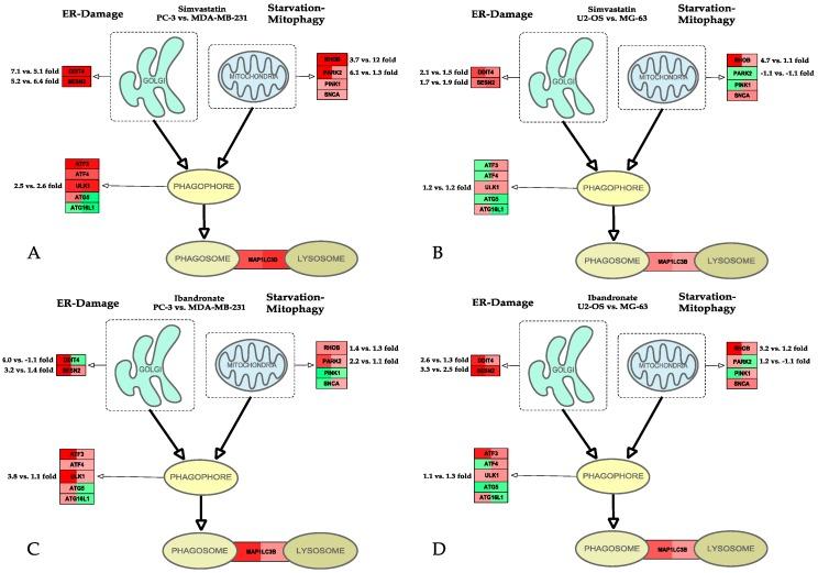 https://cdn.ncbi.nlm.nih.gov/pmc/blobs/44b0/5618631/88a798998324/ijms-18-01982-g003.jpg