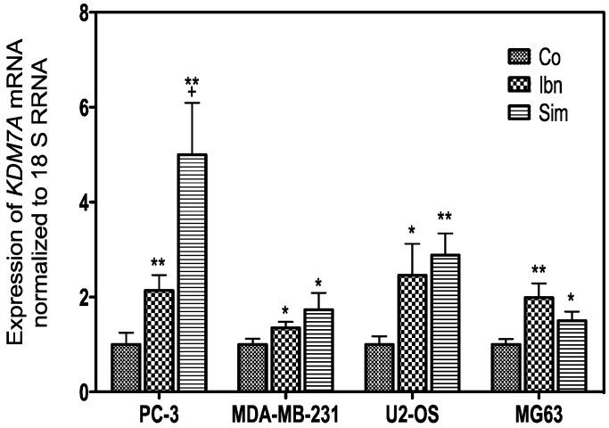 https://cdn.ncbi.nlm.nih.gov/pmc/blobs/44b0/5618631/f8de3f8c1a0c/ijms-18-01982-g004.jpg