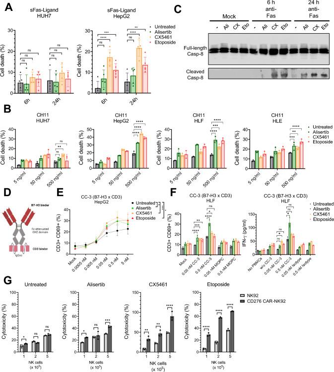 https://cdn.ncbi.nlm.nih.gov/pmc/blobs/44b1/12081809/51db44d5535b/262_2025_4060_Fig3_HTML.jpg