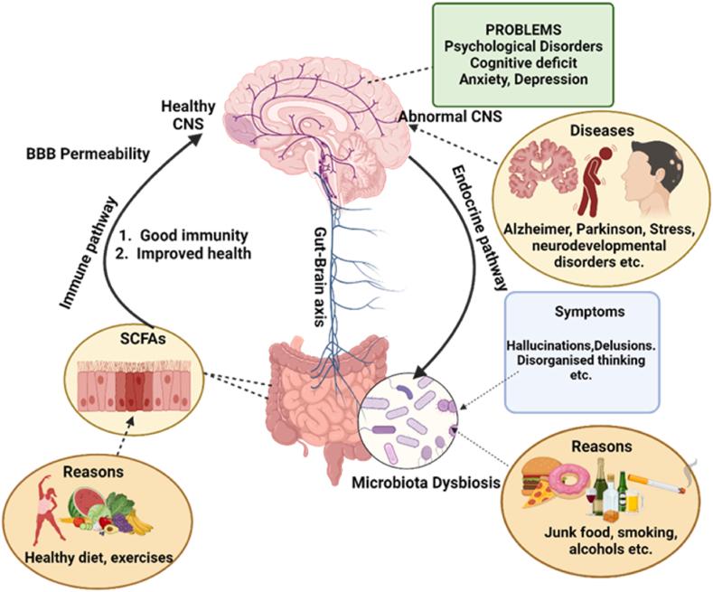 https://cdn.ncbi.nlm.nih.gov/pmc/blobs/44b2/11279763/2bb1be047817/gr1.jpg
