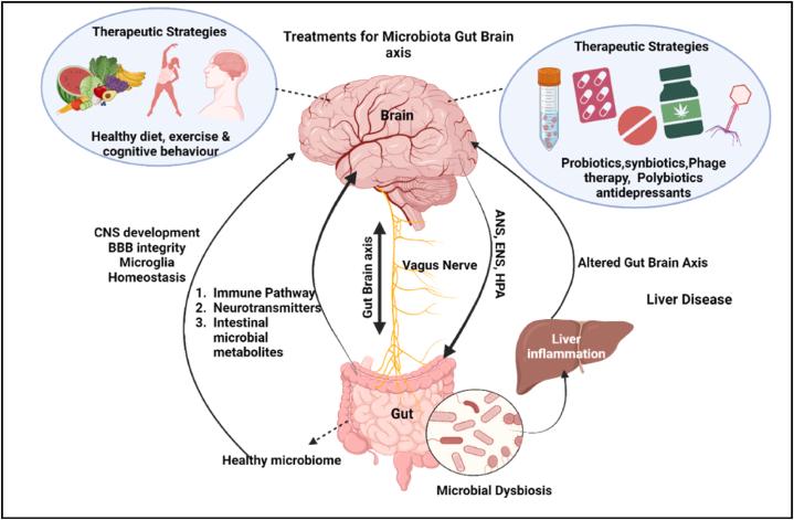 https://cdn.ncbi.nlm.nih.gov/pmc/blobs/44b2/11279763/6994e4c8ec43/gr3.jpg