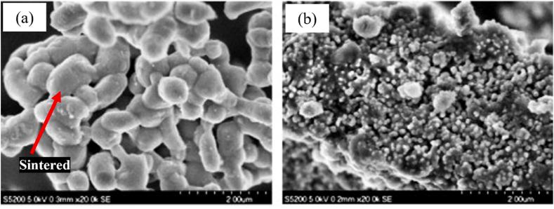 https://cdn.ncbi.nlm.nih.gov/pmc/blobs/44b3/10912718/3d4560120027/gr4.jpg