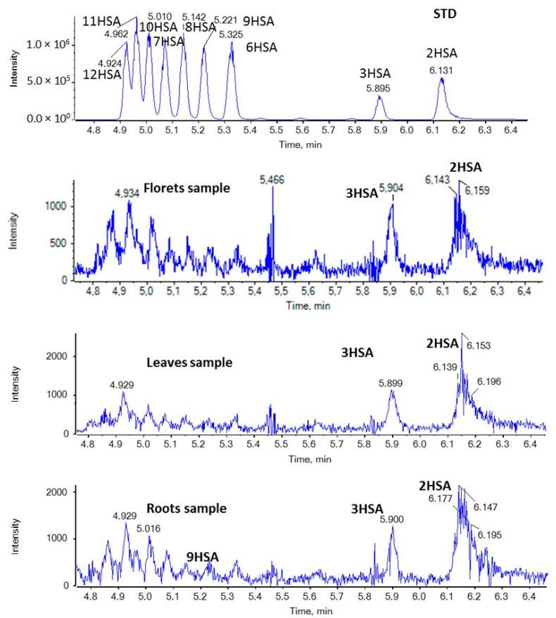 https://cdn.ncbi.nlm.nih.gov/pmc/blobs/44b4/10891939/1990fe31fdd2/molecules-29-00754-g005.jpg