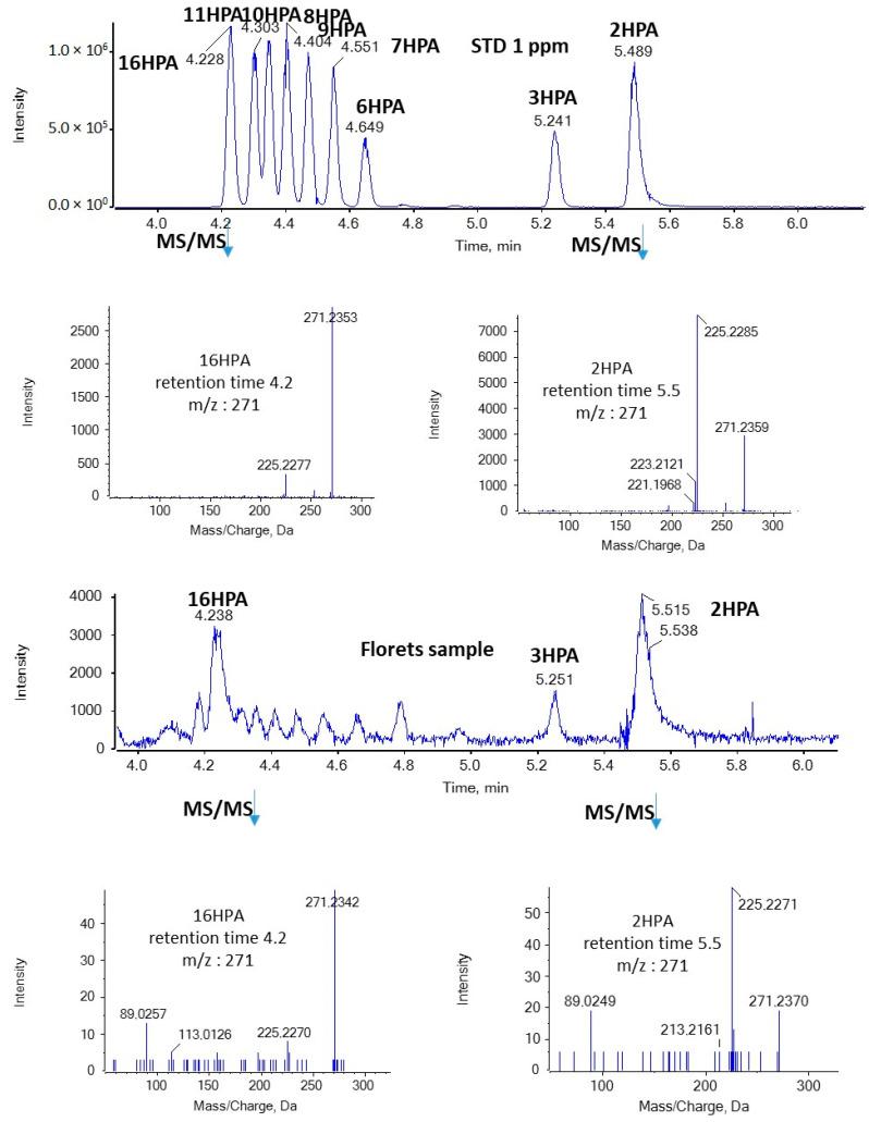 https://cdn.ncbi.nlm.nih.gov/pmc/blobs/44b4/10891939/2cd85116de6e/molecules-29-00754-g004.jpg