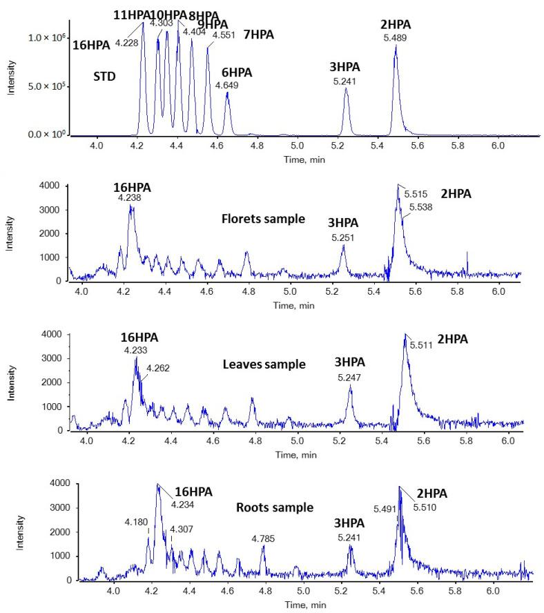 https://cdn.ncbi.nlm.nih.gov/pmc/blobs/44b4/10891939/e660a5511151/molecules-29-00754-g003.jpg