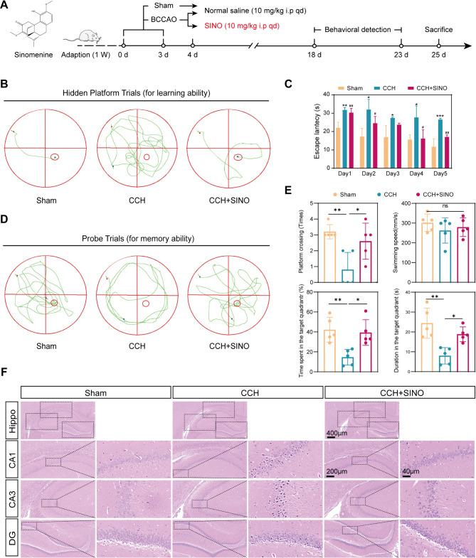 https://cdn.ncbi.nlm.nih.gov/pmc/blobs/44b5/11881310/62bafea3f9b8/40478_2025_1950_Fig1_HTML.jpg
