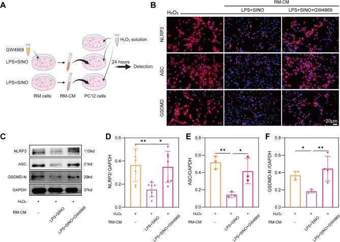 https://cdn.ncbi.nlm.nih.gov/pmc/blobs/44b5/11881310/7201abc8ef03/40478_2025_1950_Fig6_HTML.jpg