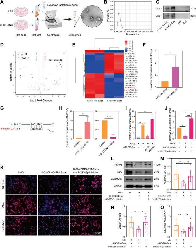 https://cdn.ncbi.nlm.nih.gov/pmc/blobs/44b5/11881310/a25730f205d0/40478_2025_1950_Fig7_HTML.jpg