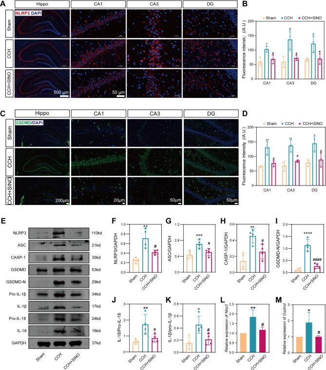 https://cdn.ncbi.nlm.nih.gov/pmc/blobs/44b5/11881310/e3e0ea9c49bd/40478_2025_1950_Fig3_HTML.jpg