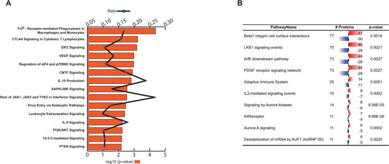 https://cdn.ncbi.nlm.nih.gov/pmc/blobs/44b5/6544406/0e179d2c7717/oncotarget-10-3491-g001.jpg