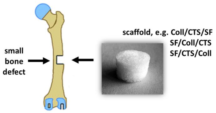 https://cdn.ncbi.nlm.nih.gov/pmc/blobs/44b7/7956200/1fab0eefa4f9/materials-14-01105-g001.jpg
