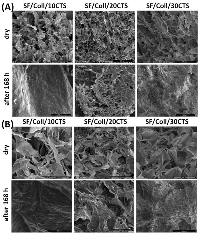 https://cdn.ncbi.nlm.nih.gov/pmc/blobs/44b7/7956200/95d8728cdfd2/materials-14-01105-g009.jpg
