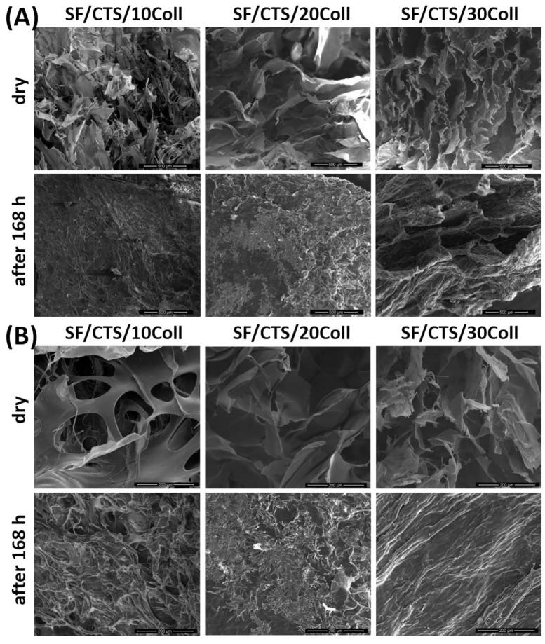 https://cdn.ncbi.nlm.nih.gov/pmc/blobs/44b7/7956200/99cccd28221f/materials-14-01105-g010.jpg