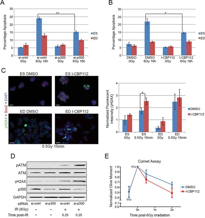 https://cdn.ncbi.nlm.nih.gov/pmc/blobs/44b8/4831886/57c75d620d94/1332fig8.jpg