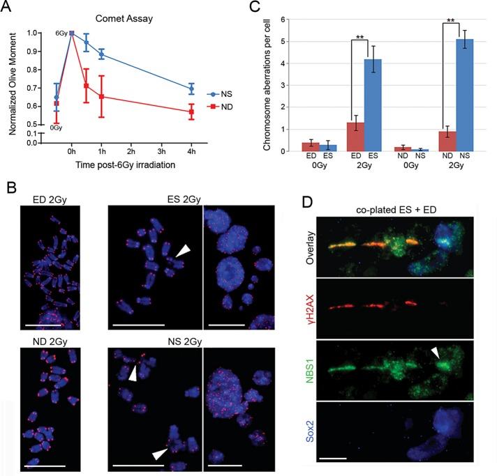 https://cdn.ncbi.nlm.nih.gov/pmc/blobs/44b8/4831886/85e2af9c1281/1332fig3.jpg