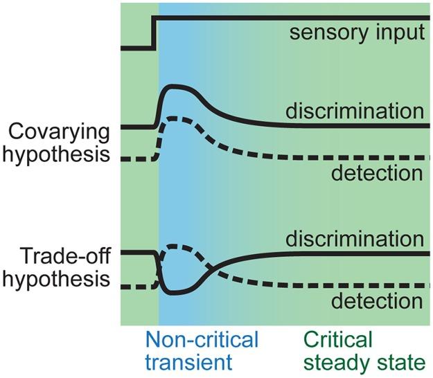https://cdn.ncbi.nlm.nih.gov/pmc/blobs/44b9/5469508/a4416d19a47d/pcbi.1005574.g001.jpg