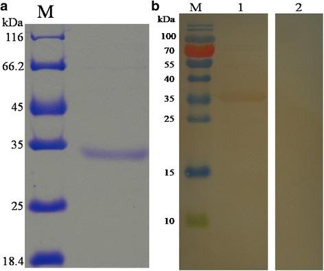https://cdn.ncbi.nlm.nih.gov/pmc/blobs/44b9/5604358/6a7c36c02e50/13071_2017_2368_Fig2_HTML.jpg