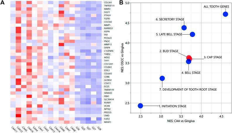 https://cdn.ncbi.nlm.nih.gov/pmc/blobs/44bd/8423744/68761aebe2a4/41598_2021_97430_Fig6_HTML.jpg