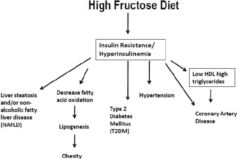 https://cdn.ncbi.nlm.nih.gov/pmc/blobs/44c1/3775234/7e52a21b66f8/nutrients-05-02901-g003.jpg