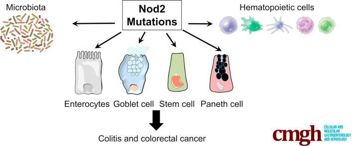 https://cdn.ncbi.nlm.nih.gov/pmc/blobs/44c1/6357788/19539cd35bac/fx1.jpg