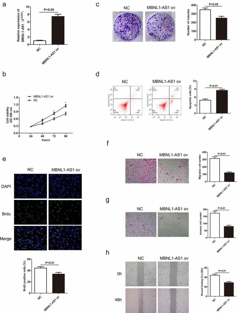 https://cdn.ncbi.nlm.nih.gov/pmc/blobs/44c2/9278977/4c87a72ca74d/KBIE_A_2037921_F0003_OC.jpg