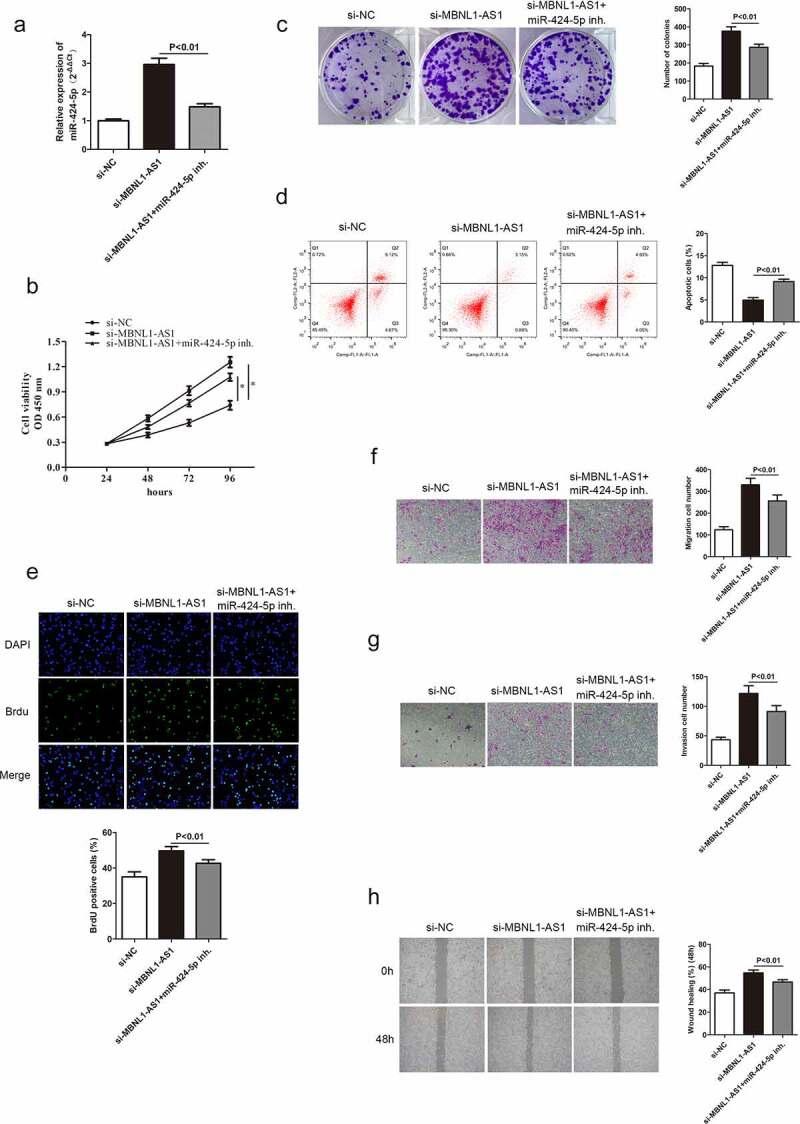 https://cdn.ncbi.nlm.nih.gov/pmc/blobs/44c2/9278977/792867c40830/KBIE_A_2037921_F0006_OC.jpg