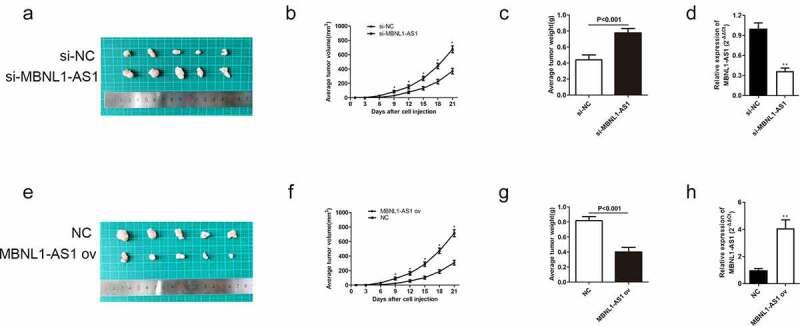 https://cdn.ncbi.nlm.nih.gov/pmc/blobs/44c2/9278977/b2bd0035cea8/KBIE_A_2037921_F0004_OC.jpg