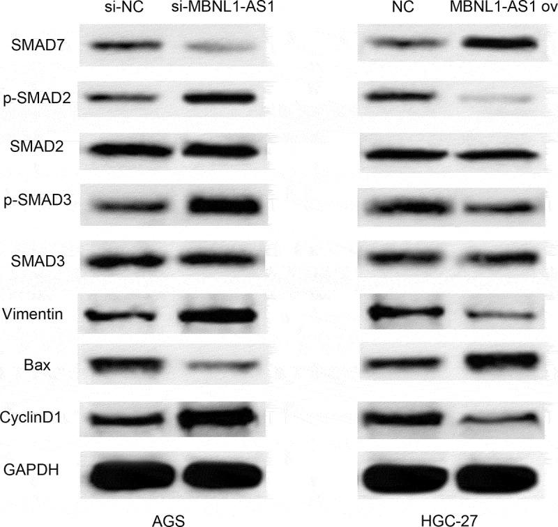 https://cdn.ncbi.nlm.nih.gov/pmc/blobs/44c2/9278977/e4c2c394e181/KBIE_A_2037921_F0009_B.jpg