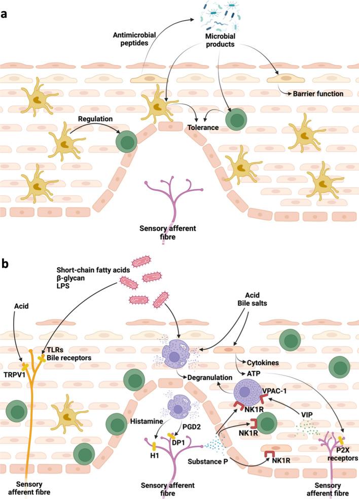 https://cdn.ncbi.nlm.nih.gov/pmc/blobs/44c4/10904498/069376465085/535_2023_2065_Fig1_HTML.jpg