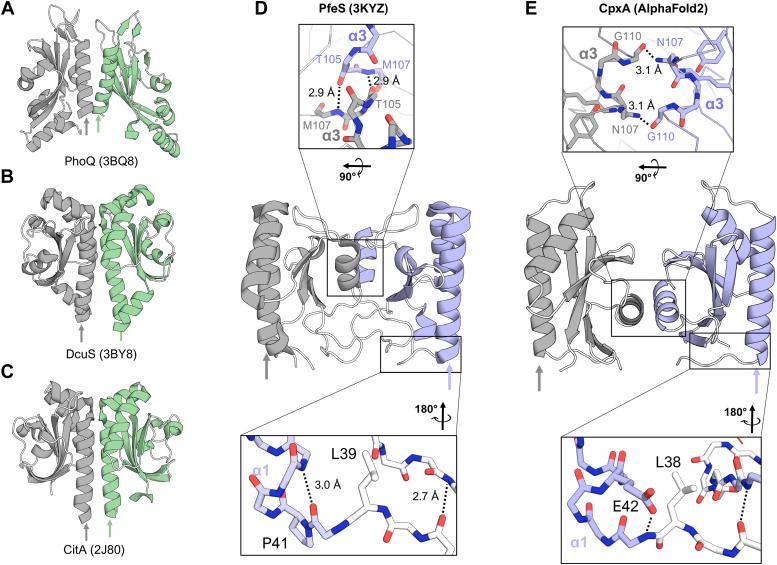 https://cdn.ncbi.nlm.nih.gov/pmc/blobs/44c4/11078701/6f791656fc0a/gr6.jpg
