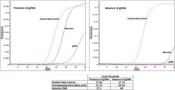 https://cdn.ncbi.nlm.nih.gov/pmc/blobs/44c4/3905289/cf482a883779/1756-0500-7-62-3.jpg